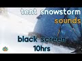 Black Screen Tent In Blizzard Ambience Severe Snowstorm With Tent Flapping In The Howling Wind
