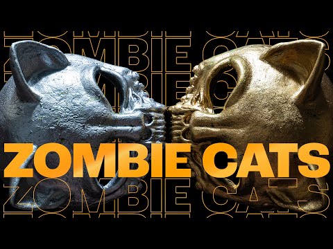 Zombie Cats - Let it Roll On Tour 2023 | Drum and Bass