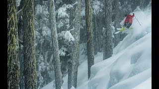 G3 SEEKr 110 Skis 2019 | evo