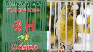 Download lagu Clásico 🐲 - Canary Training Song - 6 h - Timbrado Español 25-51 Green Canary 🟢 mp3 Download lagu Clásico 🐲 - Canary Training Song - 6 h - Timbrado Español 25-51 Green Canary 🟢 mp3