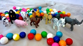 RAINBOW COLORFUL GUMBALL CANDY Sliding FUN-Animal TOY Surprises- LION,ALLIGATOR,MONKEY,CRAB,WOLF,COW