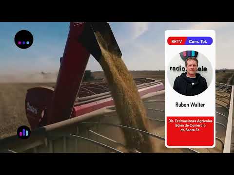 Ruben Walter - Director de Estimaciones Agrícolas de la Bolsa de Comercio de Santa Fe