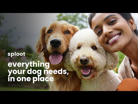 Sploot | Dog Walking, Grooming video thumbnail
