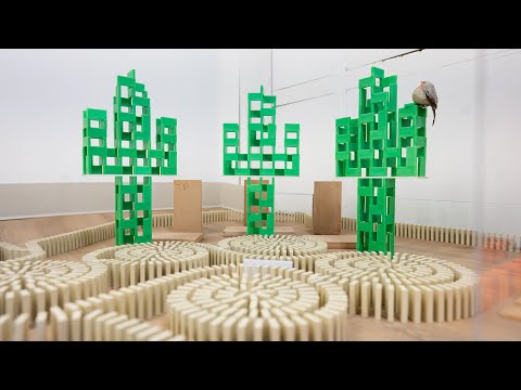 Toppling through the National Parks - 35,000 Dominoes (feat bpdoles)