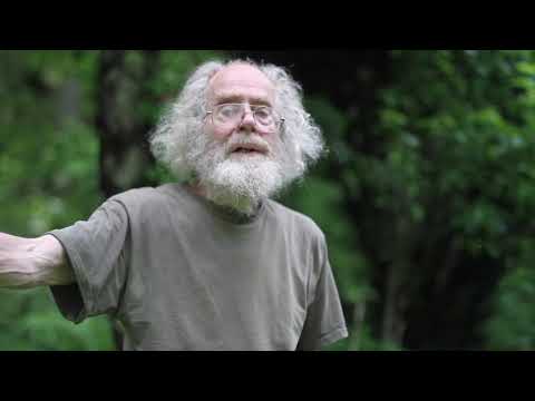 Wood Nettle and Stinging Nettle