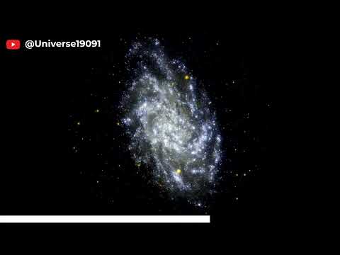 the local group of galaxies