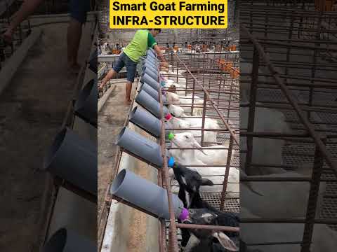 , title : 'Easy & Reliable Smart Goat Farming Infrastructure