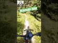 Another Short Mtb Video Of The Brazilian Trail In Wallis Switzerland