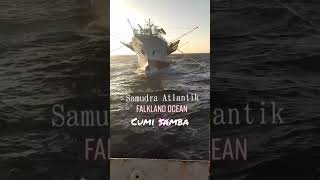 Download lagu Kapal cumi samba taiwan#Faklandocean#sailor #kapalikan mp3