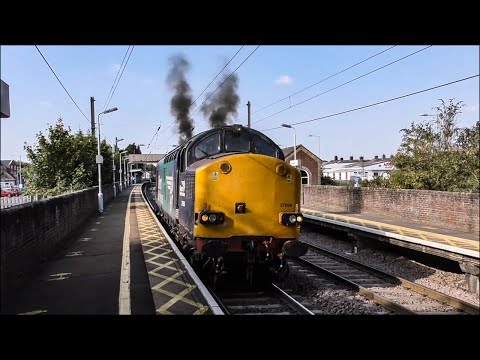 Class 37s Powering/Thrash Compilation!