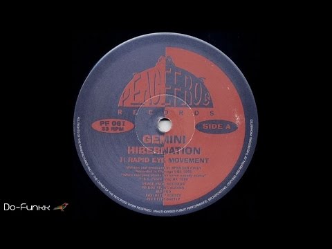 Gemini - Rapid Eye Movement