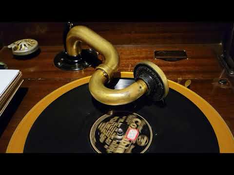 "Tip Toe Thru The Tulips With Me" Fred Rich and his Orchestra circa 1929.