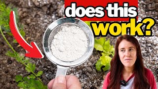 Why Diatomaceous Earth Might Be Useless (Unless You Do This)