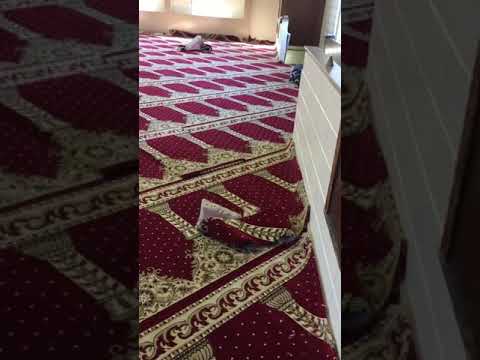 Musalla masjid carpet Windsor Locks masjid 2l Video