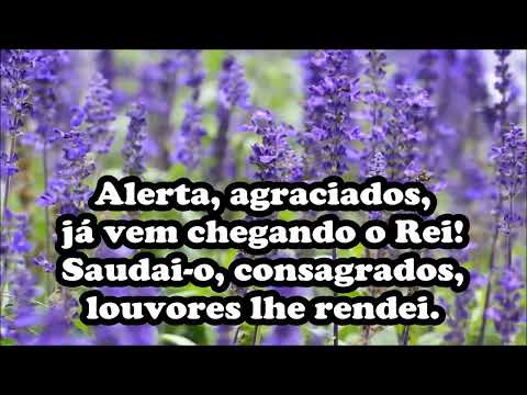 HL 9 - Alerta, agraciados