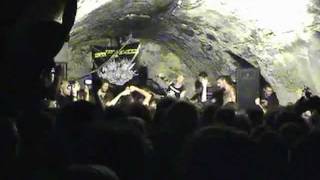 Wolfbrigade - Wails of Death