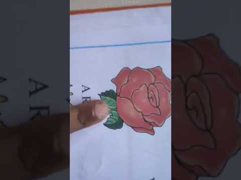 learn some flowers names