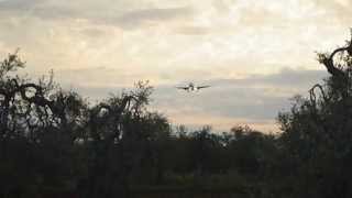 preview picture of video 'a319 easyjet atterraggio a bari palese'