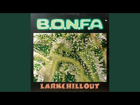 B.O.N.F.A. Pt.1