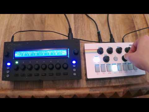 MidiAlf Bassline Shootout - DER OTO