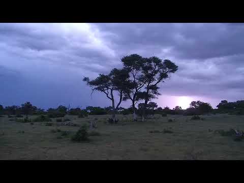 Djuma: Storm brewing in the distance-Part:2 - 05:10 - 01/05/20