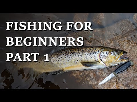 Fishing Guide for Beginners: (Spin VS Fly) Part 1 of 8