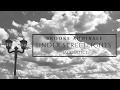 Under Streetlights (Acoustic) [Official Audio]