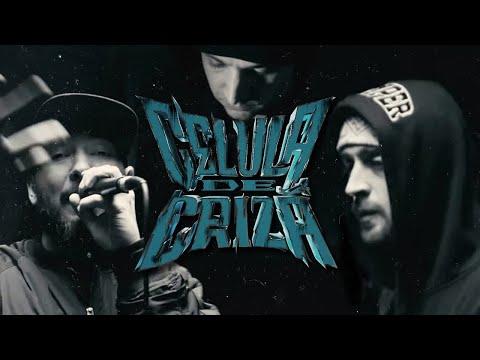 CELULA DE CRIZĂ - Cântece Pentru Tineret (Live Session)