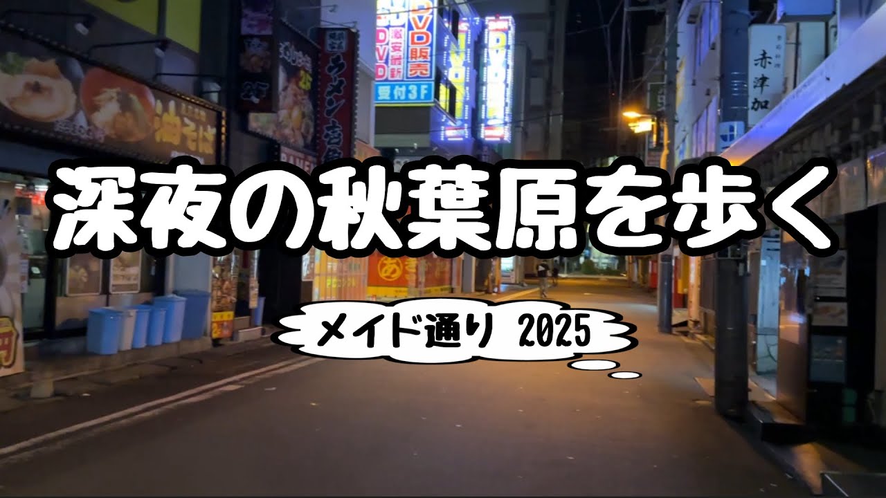 【秋葉原散策】深夜・早朝の秋葉原を歩く【終電後のメイド/ジャンク通り】