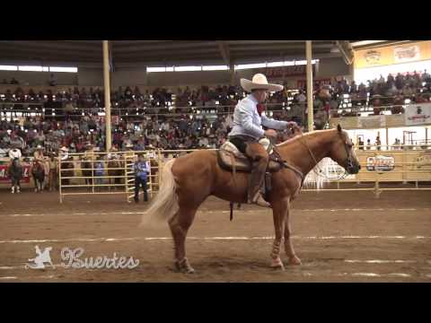 1a Final Torneo Millonario 2015 VIDEO COMPLETO