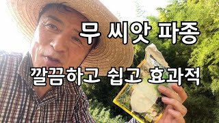 무 씨앗 파종 정말 쉽게 하는 방법
