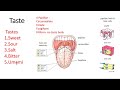 Taste physiology- Transduction and pathway