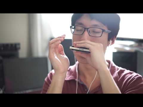 Irish Folk / "Down by the Salley Gardens" / Harmonica