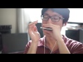Irish Folk / "Down by the Salley Gardens" / Harmonica