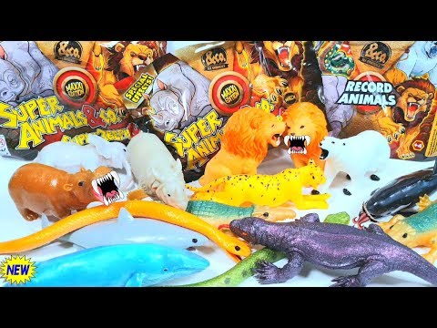 Super Animals Maxi НОВИНКА Де Агостини 2019 распаковка видео обзор ИГРУШКИ (Супер звери &Ко Макси)