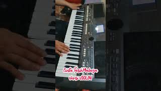 Download lagu Cinta Tasikmalaya 01 Violin #instrumental #cintatasikmalaya #shorts #shortvideo #piano #tiktok mp3