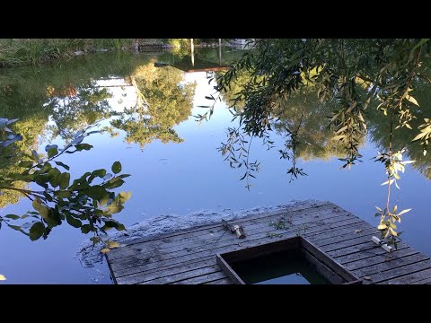 Experiences with pond - sludge - pump