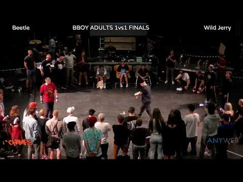 Champs - Beetle vs Wild Jerry  B-boy 1v1 final