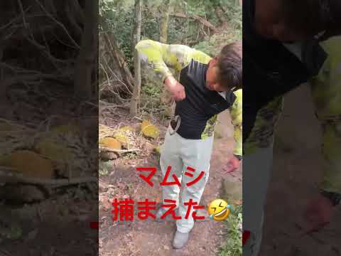 自然に毒蛇を追い払う方法は？傷つけずに追い払う5つのヒント  庭園