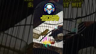 Download lagu masteran pleci nembak mantenan sambung wit wit #totalbukpar #plecimania mp3