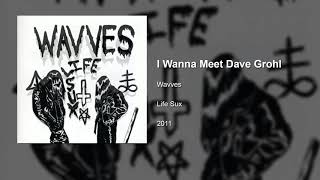 Wavves - I Wanna Meet Dave Grohl (Animated Album Cover)