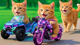 Download lagu Kittens Drive Future Motorbikes & Cars ๐ on a Revenge Mission to Rescue Mama Cat from a Bully๐ฅ๐ฑ mp3 Download lagu Kittens Drive Future Motorbikes & Cars ๐ on a Revenge Mission to Rescue Mama Cat from a Bully๐ฅ๐ฑ mp3