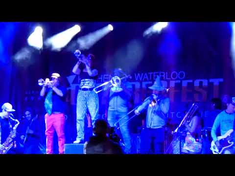 My Son The Hurricane, 2024 Kitchener-Waterloo Oktoberfest - clip MAH04786
