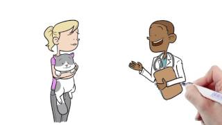 Whiteboard animation for Petriage