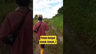 Download lagu Penuh Dengan Semak-Semak..!! mp3