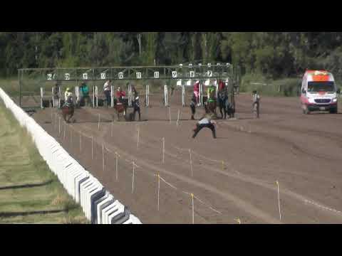 BELTRAN  12° PATRIOTA  19-12-21