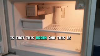 Top & Bottom Refrigerator Clogged Drain Line Fix | Easy Appliance Repair Money