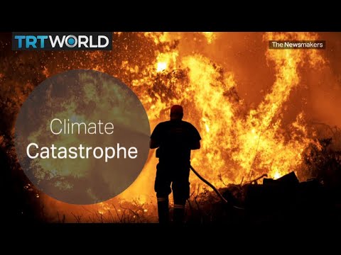 The IPCC Report on Climate Change