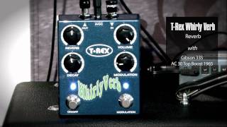 Video thumbnail for T-Rex Whirly Verb.mov by T-Rex Effects