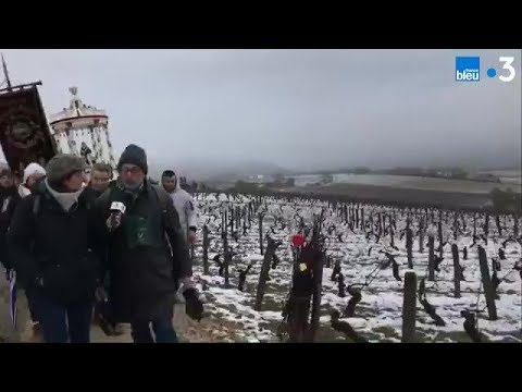 Saint-Vincent Tournante 2019 de Vézelay : le live Facebook du samedi matin